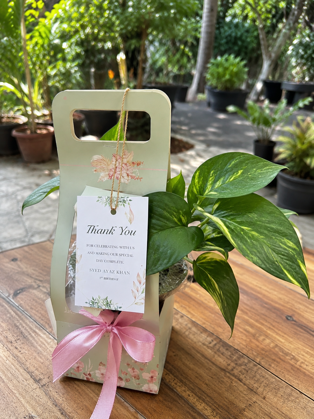 Customized plants corporate gift